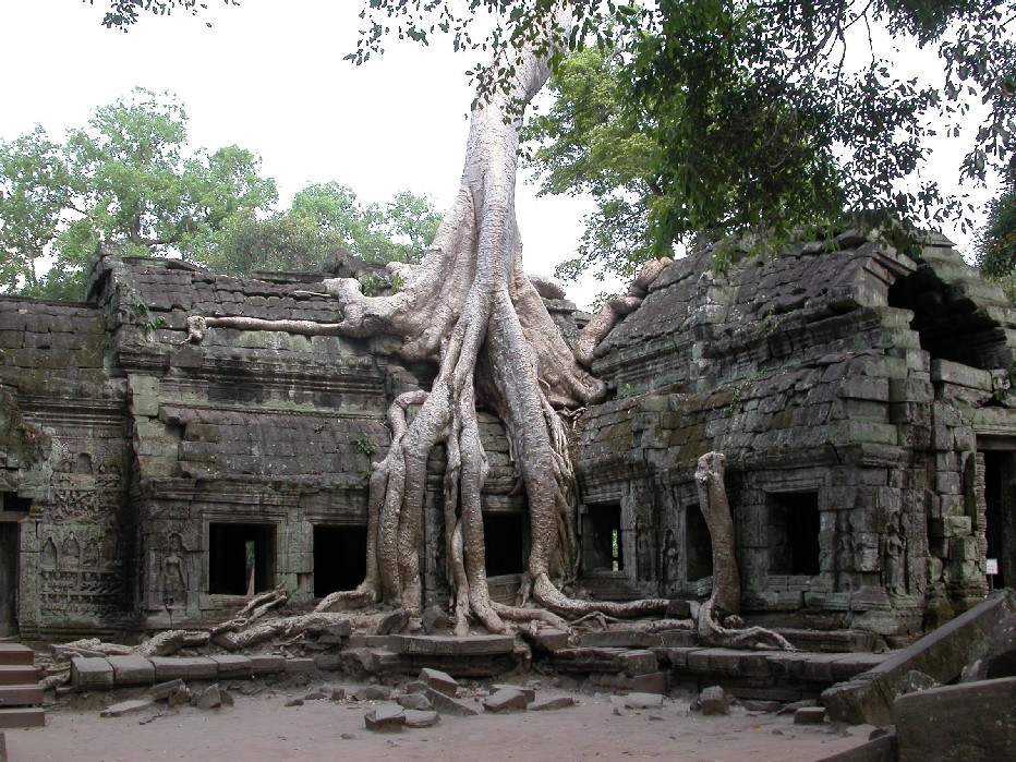 Ta Prohm