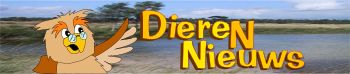 DierenNieuws, voor al uw nieuws over dieren